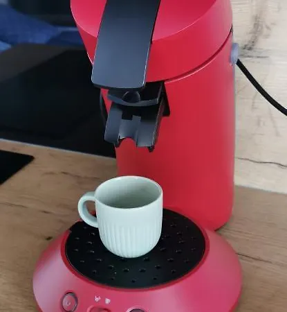 Le Cocon #centre #100m De La Charente Cognac