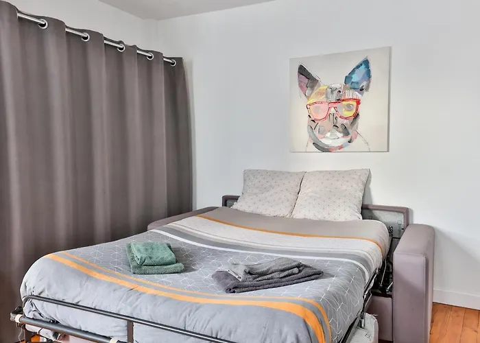 Apartment Le Cocon #centre #100m De La Charente