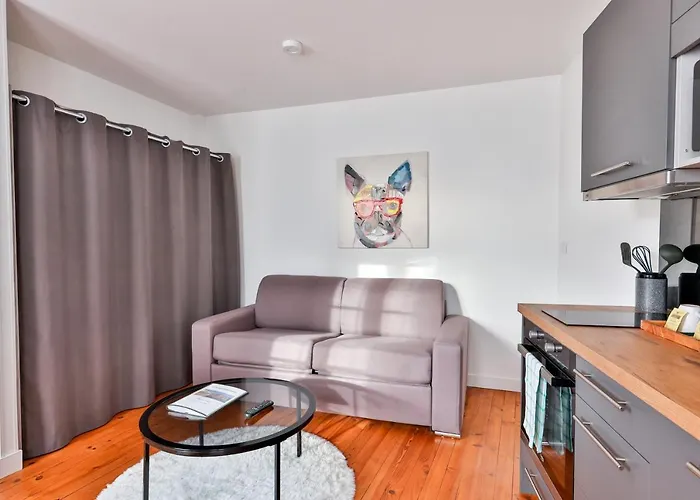 Apartment Le Cocon #centre #100m De La Charente Cognac