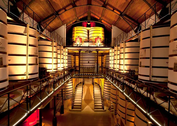 Apartment Le Cocon #centre #100m De La Charente Cognac